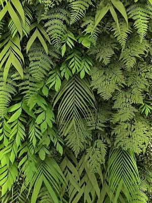 Jardim vertical preservado folhagens mix 1x1mt