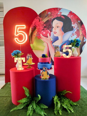 Decoração branca de neve