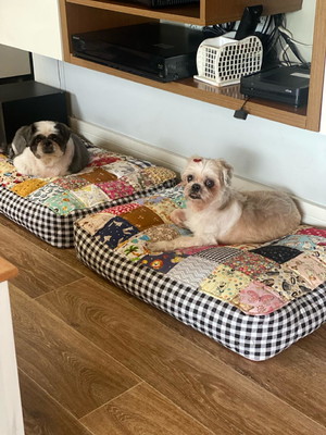 Cama pet patchwork
