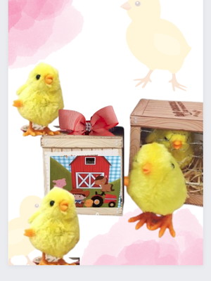 Pintinhos para adoção (brinquedo)