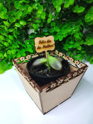 Mini cachepot + plaquinha feliz dia da mulher mdf cru