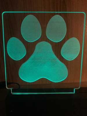 Luminaria em led pet