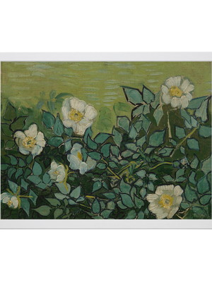Quadro van gogh, roses sauvages - tela canvas 60x45cm luxo