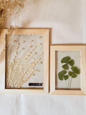 Dupla quadro leveza m. e trevo p. (planta desidratada)