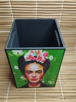 Lixeira decorada - frida