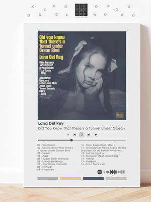 Quadro mdf spotify lana del rey did you know that there's