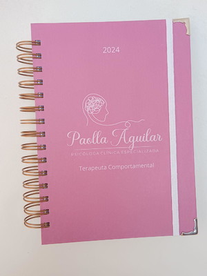 Agenda de agendamentos 2025