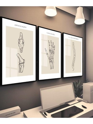 3 quadros corpo humano médicos anatomia coluna osso