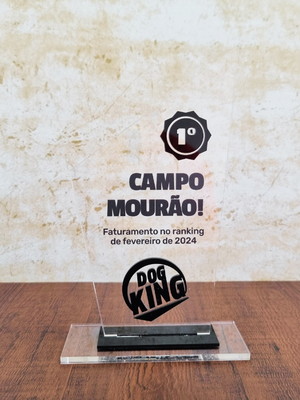 Trofeu acrilico personalizado mensão honrosa luxo