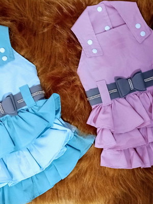 Vestidos pets
