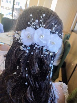 Arranjo de cabelo daminha