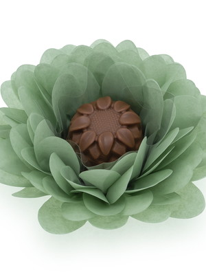 50 forminhas para doces margarida - verde oliva