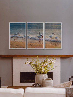 Quadro decorativo praia pássaros com vidro