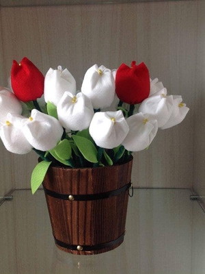 Tulipas perfumadas