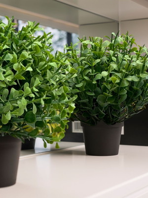 Kit 4 mini eucaliptos artificiais picks verde para decoração