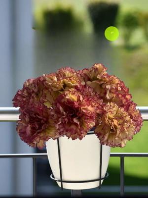 12x hastes de cravos artificial 54 cm altura flores p/ vasos