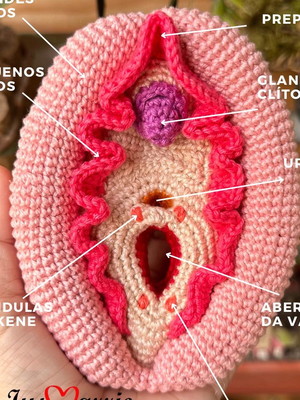 Receita vulva e clítoris encaixáveis (como fazer)