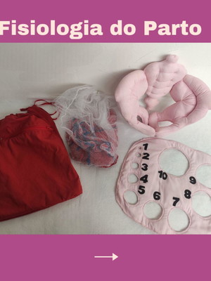 Kit fisiologia do parto