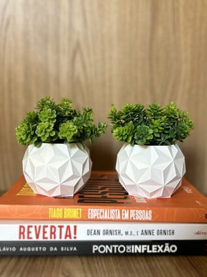 Kit 2 vasos decorativos com plantas artificiais