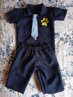 Conjunto detetive labrador