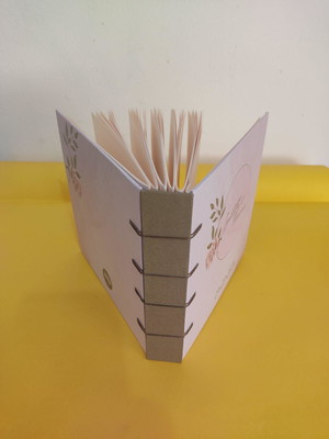 Book assinatura