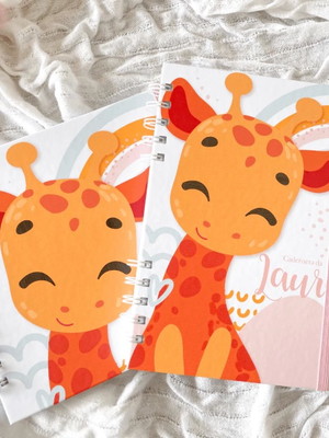 Kit livro do bebê + caderneta de vacinação | girafinha fofa