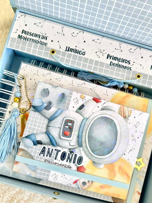 Kit livro do bebê, caderneta de vacina e caixa personalizada