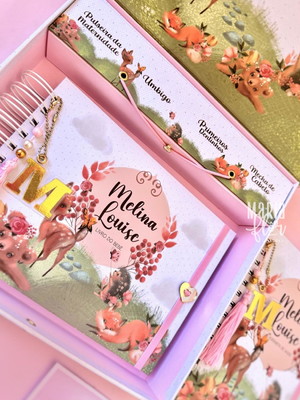 Kit livro do bebê, caderneta de vacina e caixa personalizada