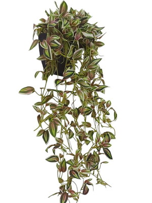 Arranjo de parede com folhagens de lambari artificial luxo
