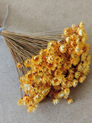 Flores secas - laranja (maço com 250 florzinhas)