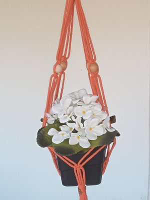 Suporte para planta