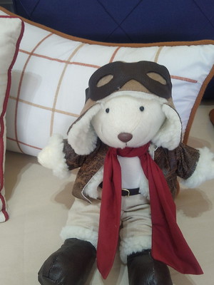 Urso aviador
