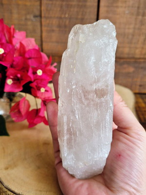 Bastão canalizador de energia alinhando todos os chakras