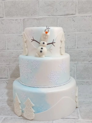 Bolo fake frozen