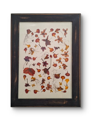 Princeps - quadro flores prensadas