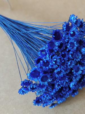 Flores secas - azul escuro (maço com 250 florzinhas)