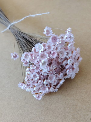 Flores secas - rosé (maço com 250 florzinhas)