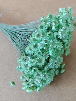 Flores secas - verde bebe (maço com 250 florzinhas)