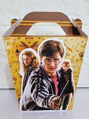 Caixa sushi com alça harry potter