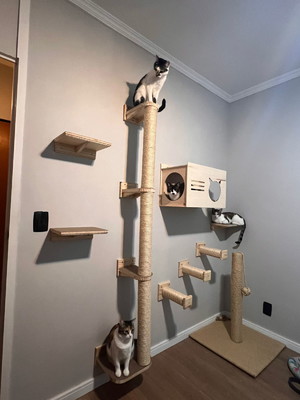 Kit gatificação 07 - parquinho para gato c/ revestimento