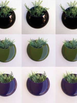 Vaso de parede para plantar lua g - 3 peças varias cores
