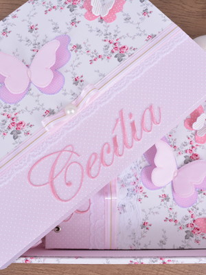 Álbum do bebê com caixa