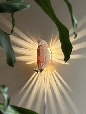 Luminária águia de zeus - arandela decoração