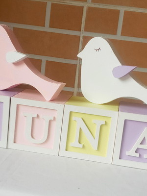 Cubo personalizado com moldura e passarinho jardim encantado