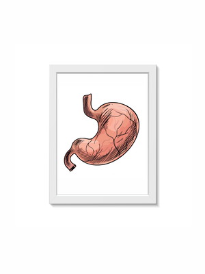 Quadro decorativo estômago a3 moldura:branca