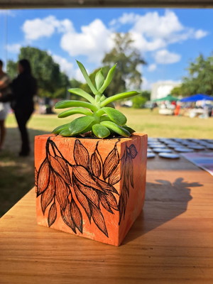 Vaso de pinus
