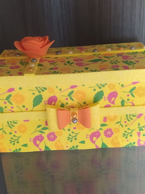 Porta absorventes