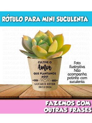 Rótulo para suculenta cultive o amor que plantamos aqui
