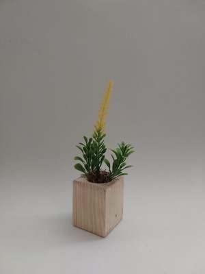 Mini arranjo