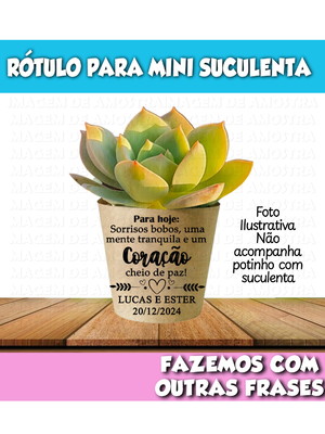 Rótulo mini suculenta nº 6 para hoje sorrisos bobos
